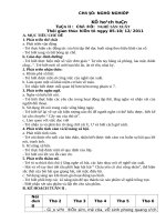 CD nghe nghiep MG lon (tuan 2)  MN my thuy 