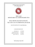 tiểu luận kinh tế học quốc tế II thương mại nội ngành giữa việt nam và EU trong 15 nhóm hàng lớn mã HS 