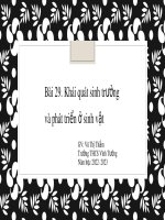 Bài giảng Sinh học 7 bài 29 sách Cánh diều: Khái quát sinh trưởng và phát triển ở sinh vật