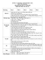 TUẦN 27 MOT sô LOAI RAU 
