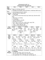 TUẦN 22  ngày tết quê em 