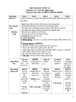 Giáo án  chủ đề nghề nông 