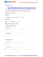 Tải Giải VBT Tiếng Việt 3 Chính tả - Tuần 23 trang 21, 24 Tập 2