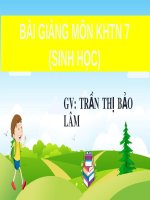 Bài giảng Sinh học 7 bài 24 sách Cánh diều: Vai trò của nước và các chất dinh dưỡng đối với sinh vật