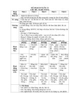 TUẦN 13 nghề nông 