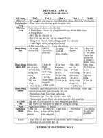 TUẦN 12 NGÀY hội của cô 