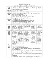 T19  ĐỘNG vật SỐNG dưới nước 