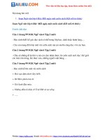 Tải Soạn Văn 6 Bài: Mỗi ngày một cuốn sách Tập 2 - Kết nối tri thức