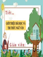 BÀI 7  TIẾT 1  TRI THỨC NGỮ văn 