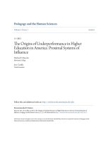 The origins of underperformance in higher education in america (mascolo, m  f ,  castillo, j, 2015, pedagogy and the human sciences 