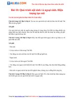 Tải [Cánh Diều] Soạn Địa lý lớp 6 Bài 10: Quá trình nội sinh và ngoại sinh. Hiện tượng tạo núi