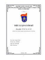 TIỂU LUẬN CUỐI kỳ học phần xã hội học du lịch đề bài các vấn đề về quản lý du lịch hiện nay ở việt nam 