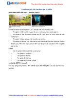 Tải Giải Khoa học tự nhiên 6 Bài 2: Các lĩnh vực chủ yếu của khoa học tự nhiên - Chân trời sáng tạo