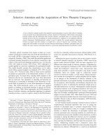 Selective attention and the acquisition of new phonetic categories 