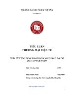 (Tiểu luận FTU) PHÂN TÍCH ỨNG DỤNG HOẠCH ĐỊNH NGUỒN lực tại tập đoàn FPT VIỆT NAM 