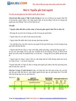 Tải [Kết Nối Tri Thức] Soạn Lịch Sử lớp 6 Bài 4: Nguồn gốc loài người