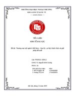 (Tiểu luận FTU) thương mại nội ngành việt nam   hoa kỳ  cơ hội, thách thức và giải pháp đề xuất 