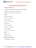 Tải Giải Toán lớp 5 Luyện tập chung trang 113 hay nhất