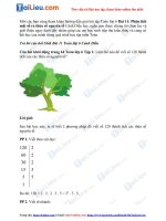 Tải Giải bài tập Toán lớp 6 Bài 11: Phân tích một số ra thừa số nguyên tố Cánh Diều