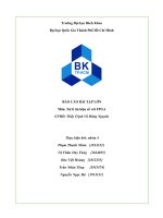 BÁO cáo bài tập lớn môn xử lí tín hiệu số với FPGA 