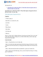 Tải Giải Khoa học tự nhiên 6 Bài 31: Thực hành: Quan sát nguyên sinh vật - Kết nối tri thức