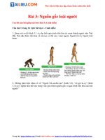 Tải [Cánh diều] Soạn Lịch sử lớp 6 Bài 3: Nguồn gốc loài người