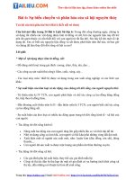 Tải [Kết Nối Tri Thức] Soạn Lịch Sử lớp 6 Bài 6: Sự biến chuyển và phân hóa của xã hội nguyên thủy