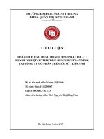 (Tiểu luận FTU) PHÂN TÍCH ỨNG DỤNG HOẠCH ĐỊNH NGUỒN lực DOANH NGHIỆP (ENTERPRISE RESOURCE PLANNING) 