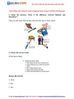 Tải Soạn Starter unit lớp 6 Language focus SGK trang 11 - Chân Trời Sáng Tạo