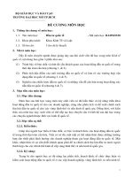 TRƯỜNG ĐẠI HỌC MỞ TP.HCM ĐỀ CƯƠNG MƠN HỌC Thơng tin chung môn học: 1.1 Tên môn học: Đầu tư quốc tế