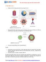 Tải Giải Khoa học tự nhiên 6 Bài 24: Virus - Chân trời sáng tạo