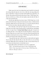 (Luận văn học viện tài chính) thực trạng công tác kế toán tại công ty TNHH hưng long 