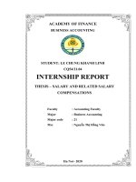 Completing salary and accounting salary compensations at onemember limited liability company for project exploitation Nhat Minh irrigation work