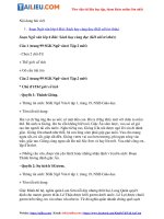 Tải Soạn Văn 6 Bài: Sách hay cùng đọc Tập 2 - Kết nối tri thức