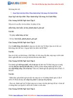 Tải Soạn Văn 6 Bài: Thực hành tiếng Việt trang 16 Tập 2 - Cánh Diều