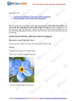 Tải Giải bài tập Toán lớp 6 Bài 3: Vai trò của tính đối xứng trong thế giới tự nhiên Chân trời sáng...