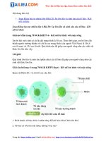 Tải Giải Khoa học tự nhiên 6 Bài 20: Sự lớn lên và sinh sản của tế bào - Kết nối tri thức