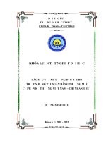 Các yếu tố ảnh hưởng đến rủi ro thẻ tín dụng tại ngân hàng TMCP Kỹ thương Việt Nam  Chi nhánh Huế.