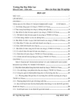 (Luận văn học viện tài chính) hoàn thiện công tác kế toán bán hàng và xác định kết quả kinh doanh tại công ty trách nhiệm hữu hạn ô tô nisun  