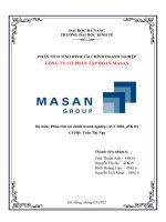 PHÂN TÍCH TÌNH HÌNH tài CHÍNH DOANH NGHIỆP CÔNG TY cổ PHẦN tập đoàn MASAN 