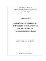 Ảnh hưởng của chất lượng trải nghiệm đến sự hài lòng của khách hàng siêu thị tại thành phố hồ chí minh  luận văn thạc sĩ 