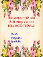 CHƯƠNG v bài 21  HÌNH có TRỤC đối XỨNG (2 TIẾT) 