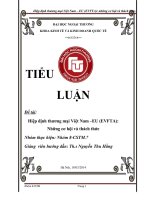 (Tiểu luận FTU) tiểu luận chính sách thương mại quốc tế hiệp định thương mại việt nam –EU (EVFTA) những cơ hội và thách thức 