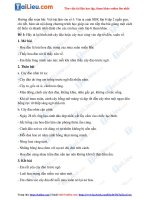 Tải Soạn văn 6 tập 2: Viết bài làm văn số 5: Văn tả cảnh hay nhất