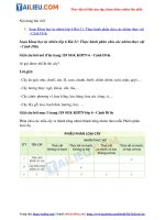 Tải Giải Khoa học tự nhiên 6 Bài 21: Thực hành phân chia các nhóm thực vật - Cánh Diều