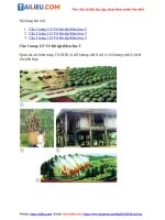 Tải Giải vở bài tập Khoa Học 5 Bài 65: Tác động của con người đến môi trường rừng (Đầy đủ nhất)