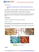 Tải Giải Khoa học tự nhiên 6 Bài 27: Vi khuẩn - Kết nối tri thức