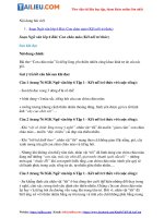 Tải Soạn Văn 6 Bài: Con chào mào Tập 1 - Kết nối tri thức