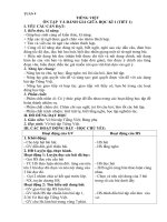 giáo án buổi 2 vở bài tập tiếng việt lớp 3 kết nối tri thức tuần 1 (6) 