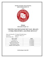 (Tiểu luận FTU) thương mại nội ngành việt nam   hoa kỳ cơ hội, thách thức, giải pháp, đề xuất 